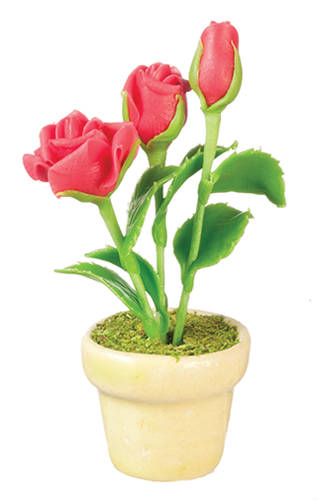 Roses in Pot, Red